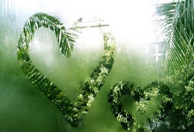 天涯论坛娱乐圈那些事：聊聊明星八卦趣闻